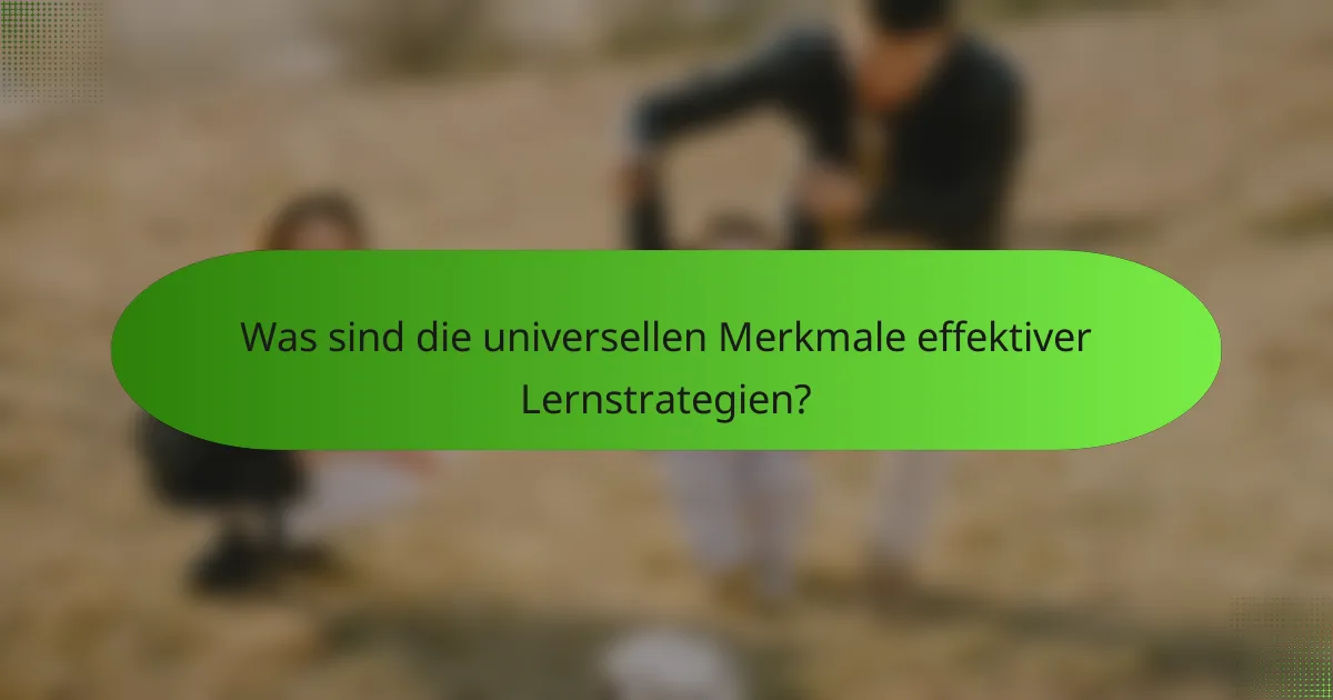 Was sind die universellen Merkmale effektiver Lernstrategien?