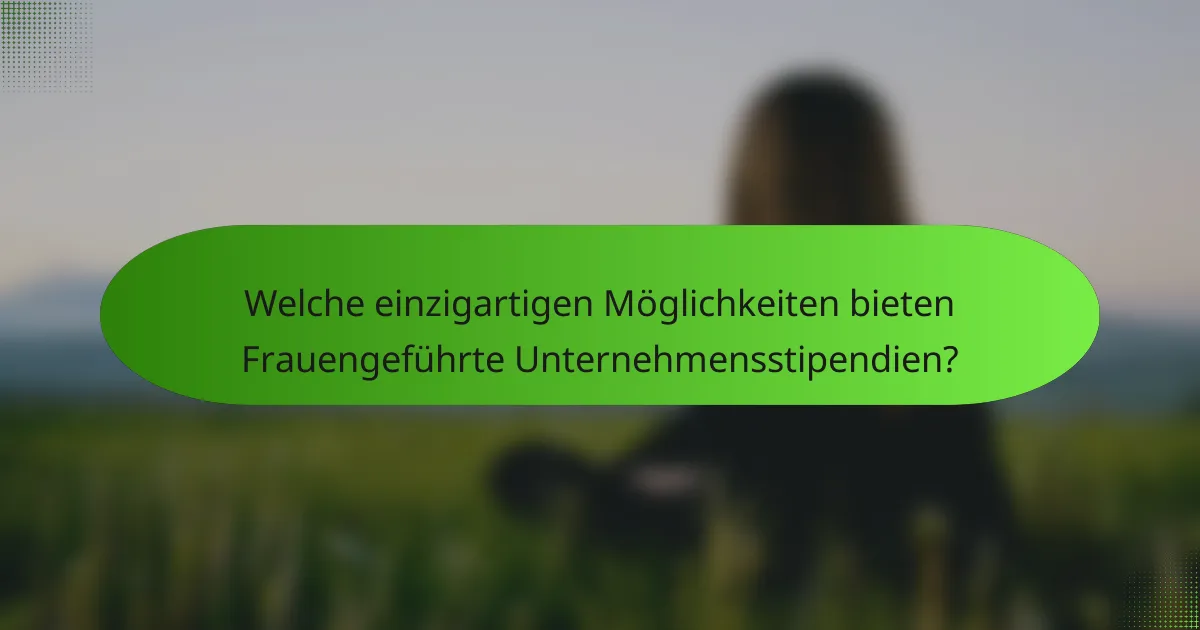 Welche einzigartigen Möglichkeiten bieten Frauengeführte Unternehmensstipendien?